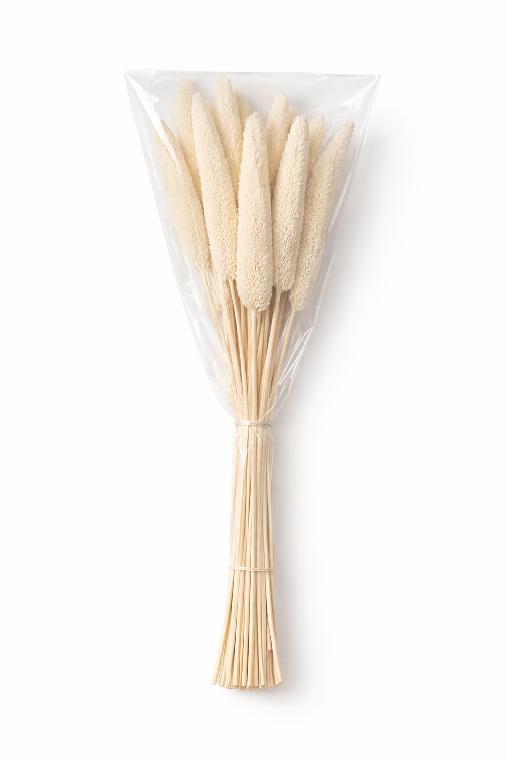 ChatGPT Image 2026. febr. 12. 13_25_21.png