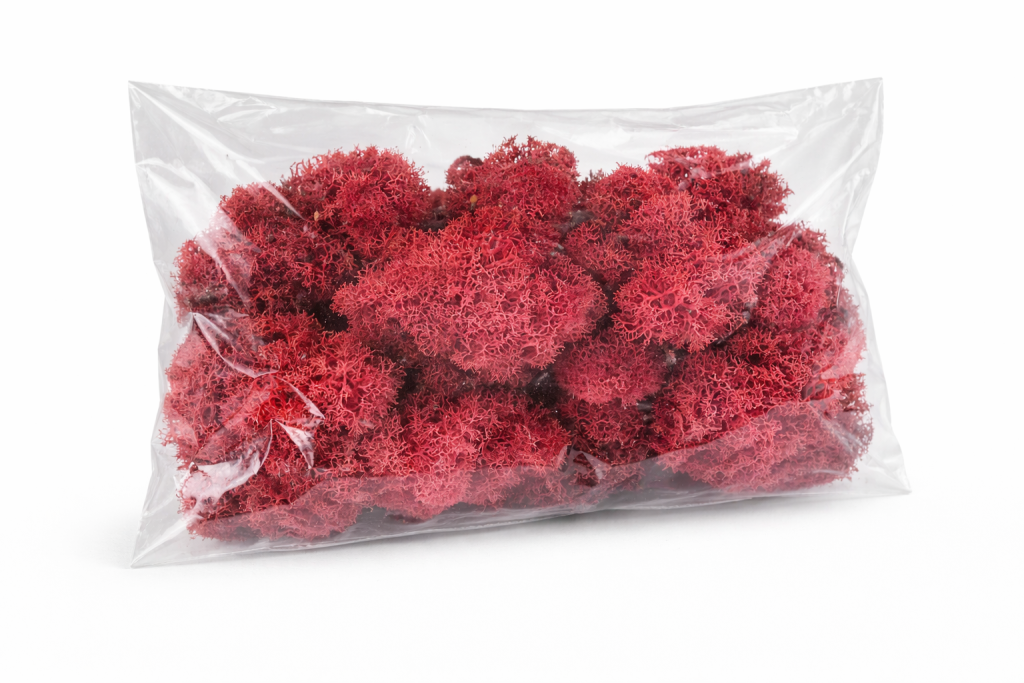 ChatGPT Image 2026. febr. 9. 11_00_06.png