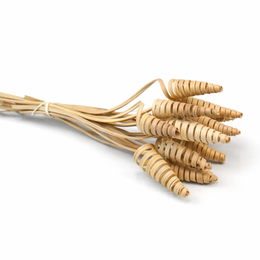 ChatGPT Image 2026. febr. 20. 12_27_52.png