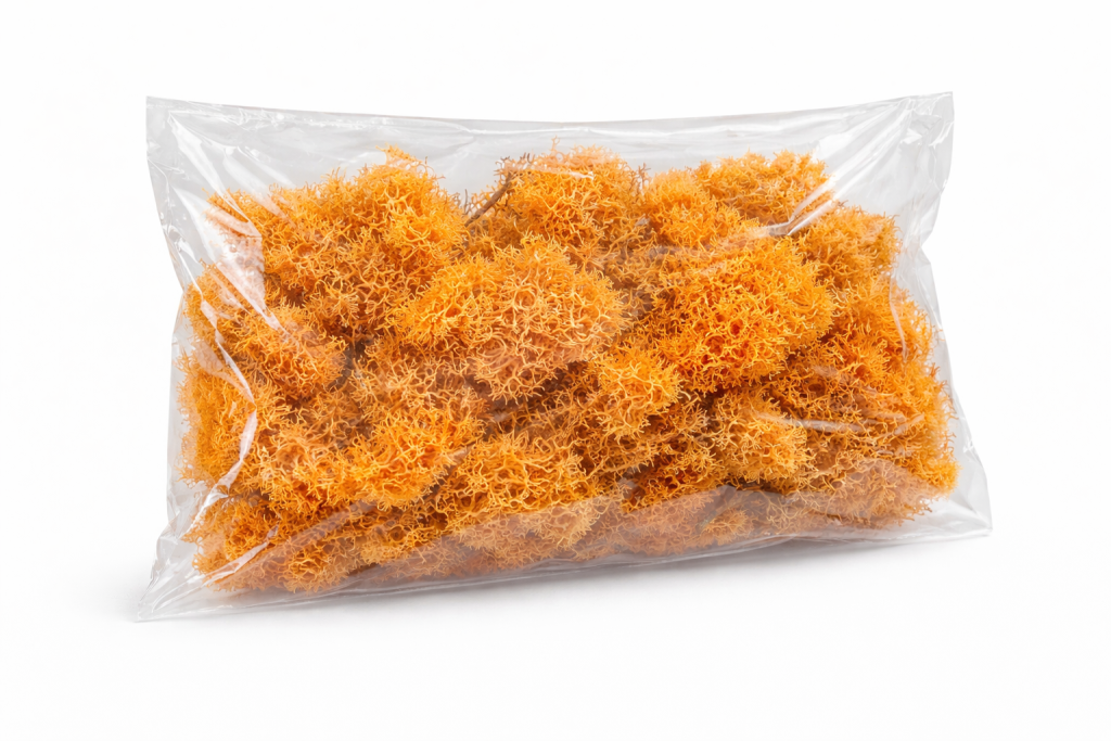 ChatGPT Image 2026. febr. 9. 11_19_19.png