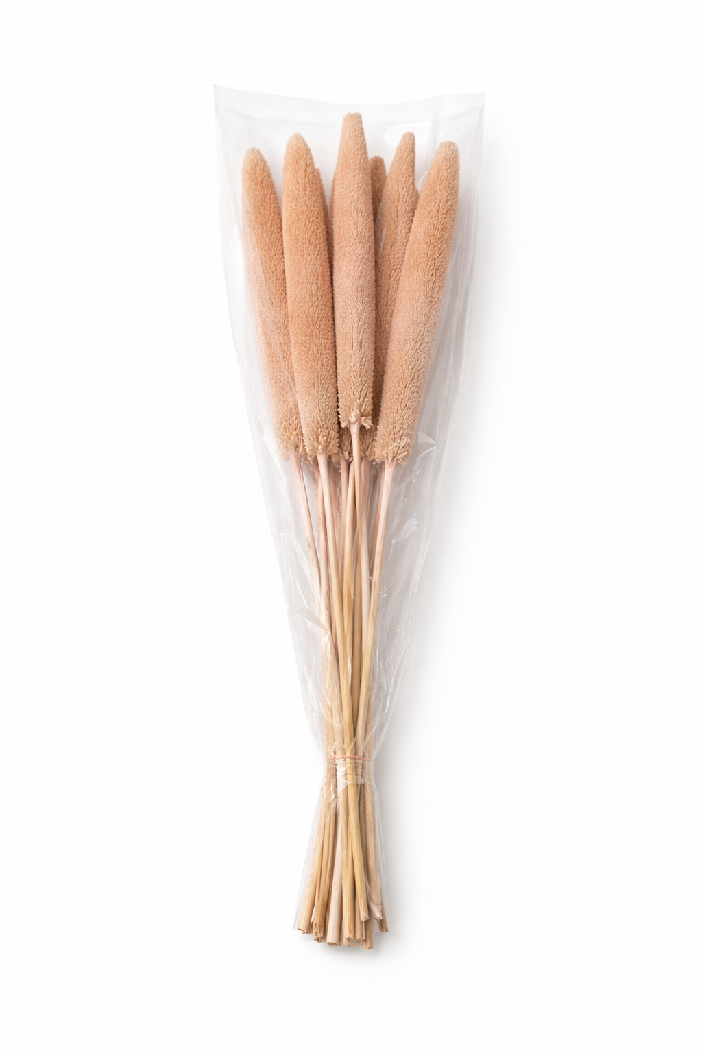 ChatGPT Image 2026. febr. 11. 08_11_13.png