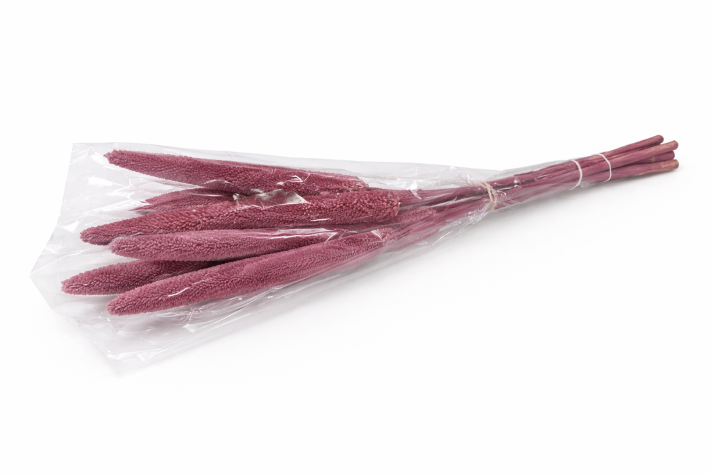 ChatGPT Image 2026. febr. 11. 08_11_03.png