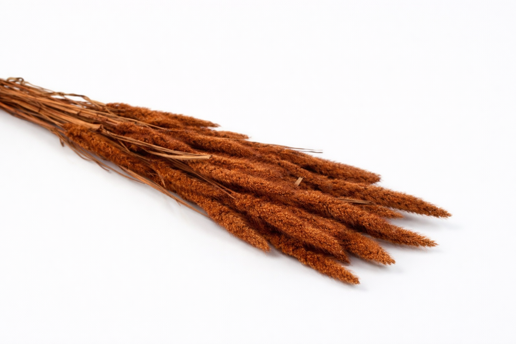 ChatGPT Image 2026. febr. 24. 11_19_55.png