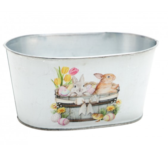 Képernyőkép 2026-01-19 101427.png