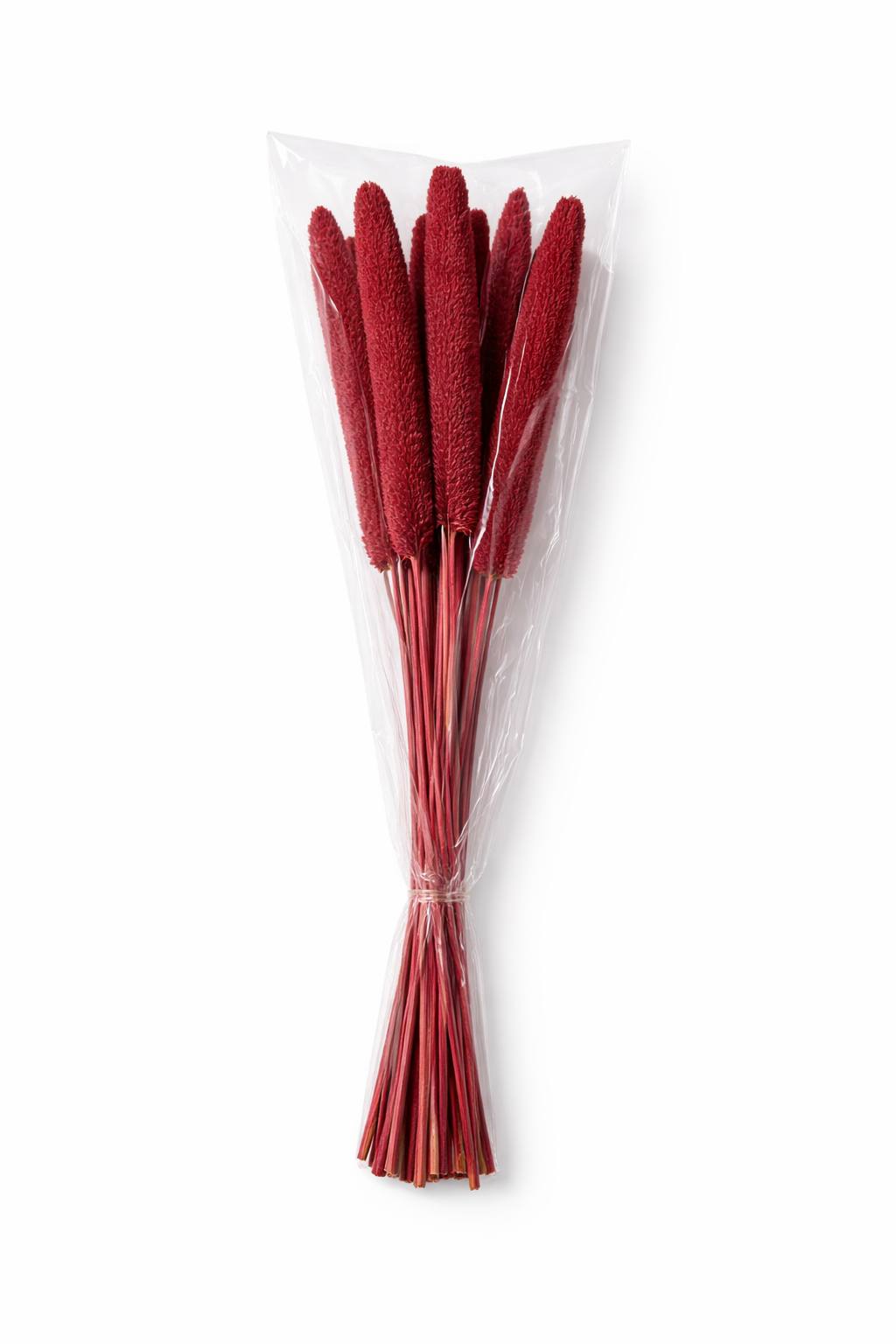 ChatGPT Image 2026. febr. 11. 08_11_22.png