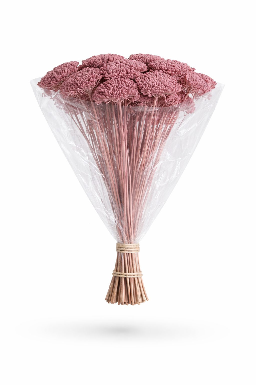 ChatGPT Image 2026. febr. 12. 07_08_54.png