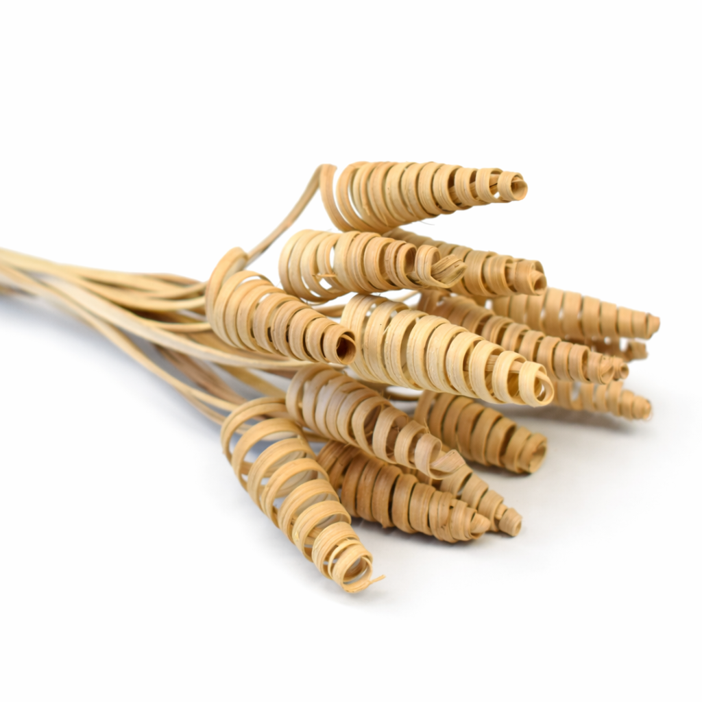 ChatGPT Image 2026. febr. 20. 12_29_20.png