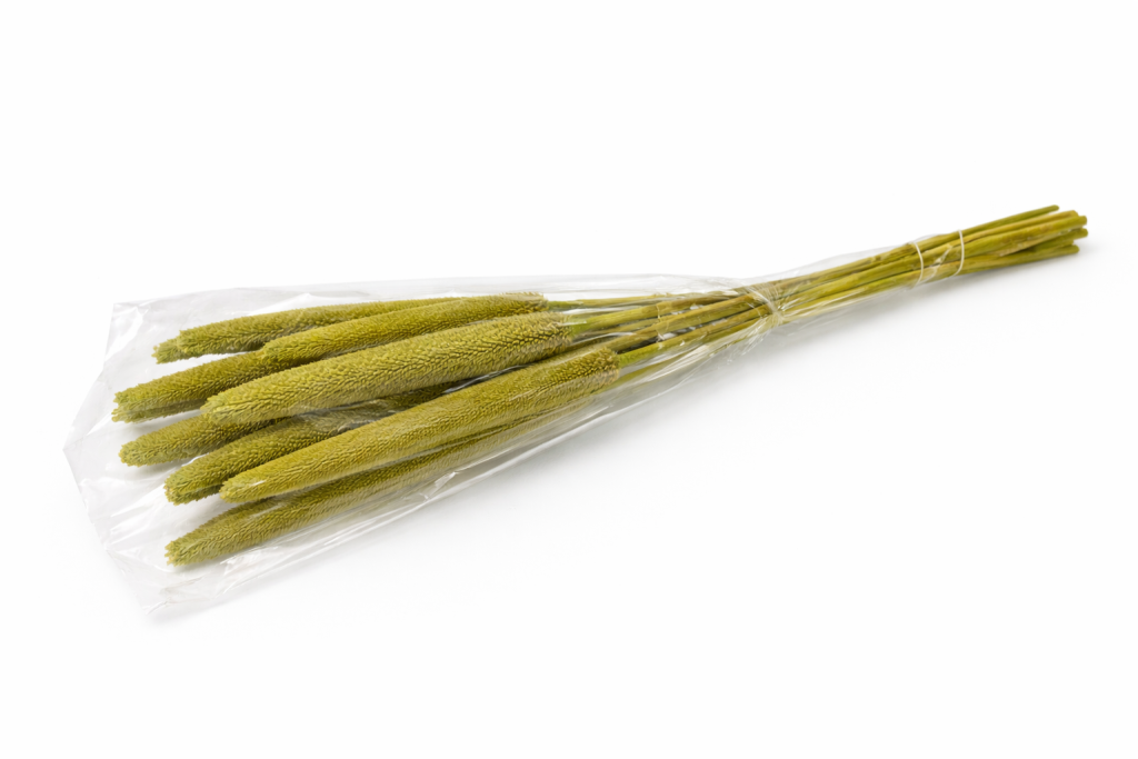 ChatGPT Image 2026. febr. 11. 08_10_59.png