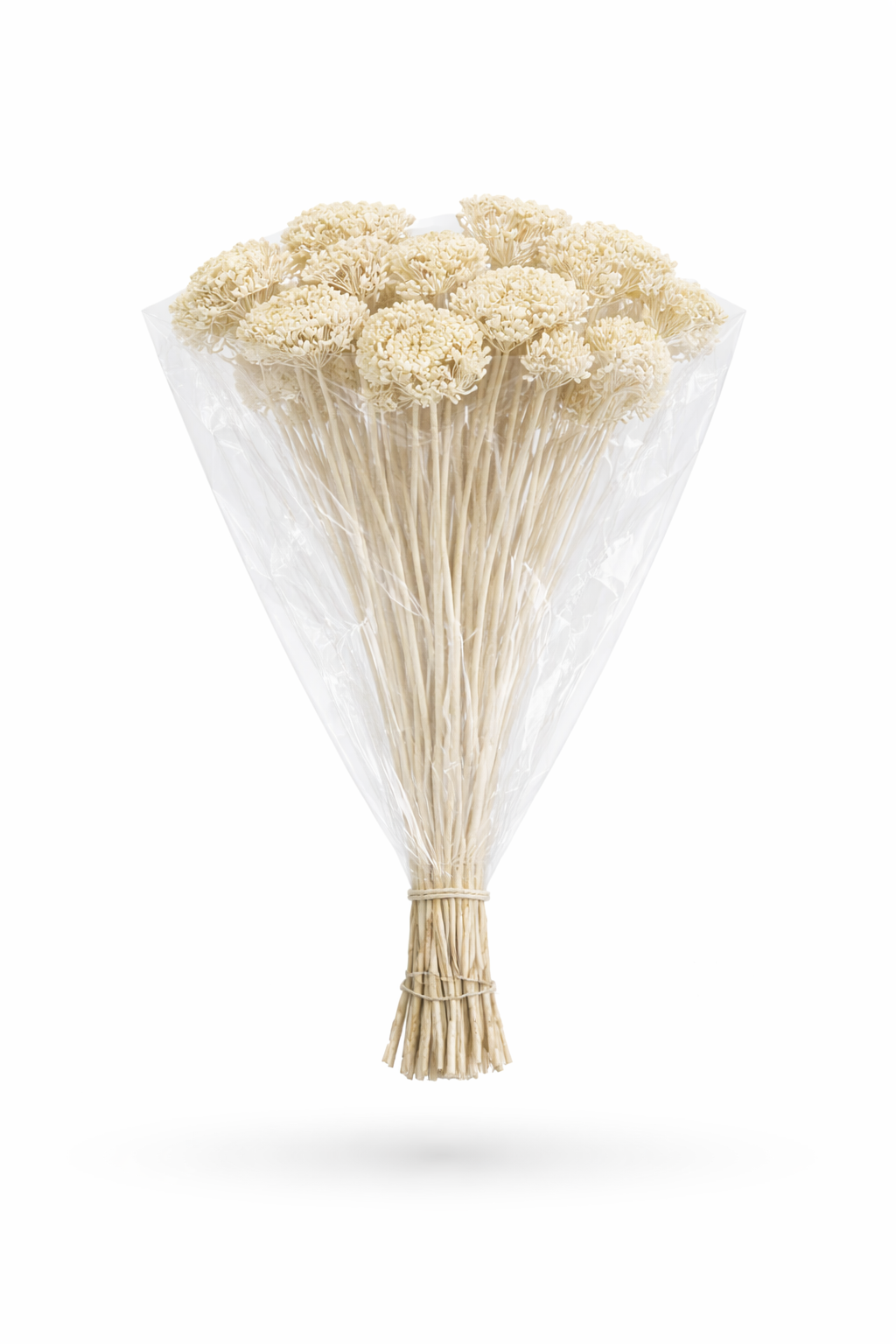 ChatGPT Image 2026. febr. 12. 07_08_41.png