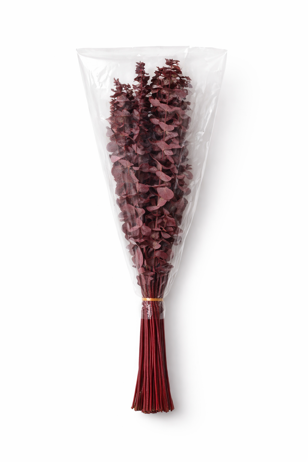 ChatGPT Image 2026. febr. 12. 12_42_47.png