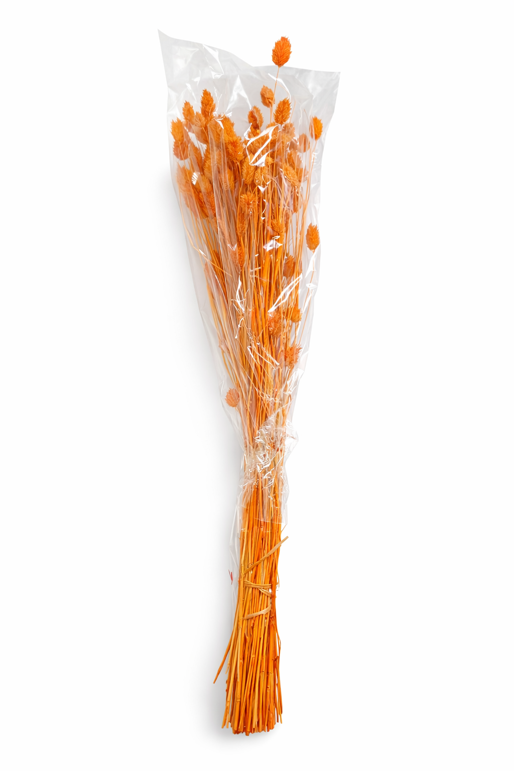 ChatGPT Image 2026. febr. 9. 13_50_09.png