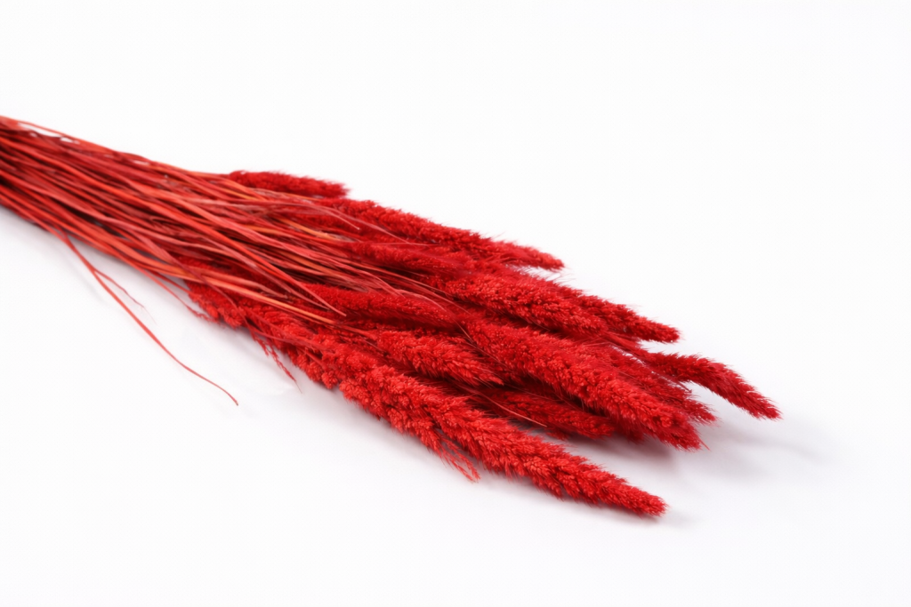 ChatGPT Image 2026. febr. 24. 11_10_30.png