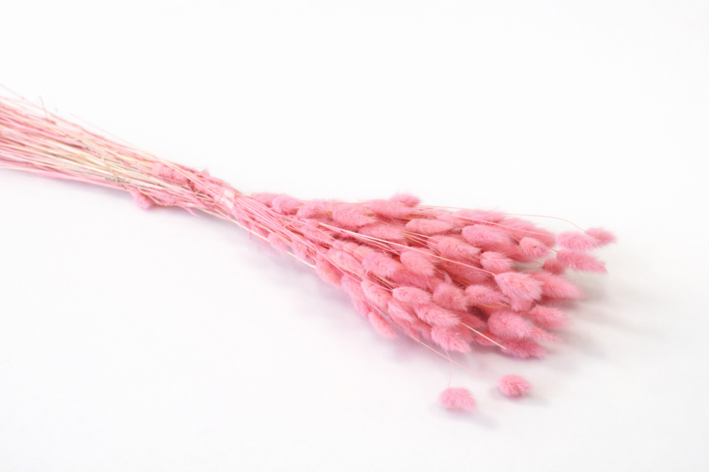 ChatGPT Image 2026. febr. 24. 10_40_19.png