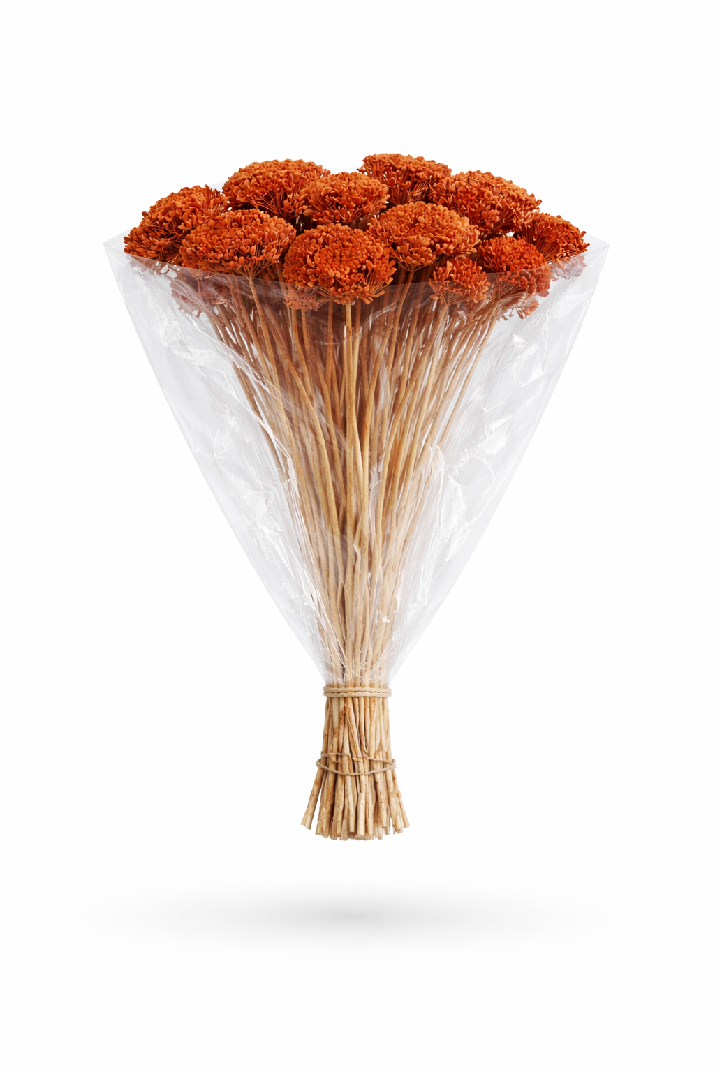 ChatGPT Image 2026. febr. 12. 07_08_48.png