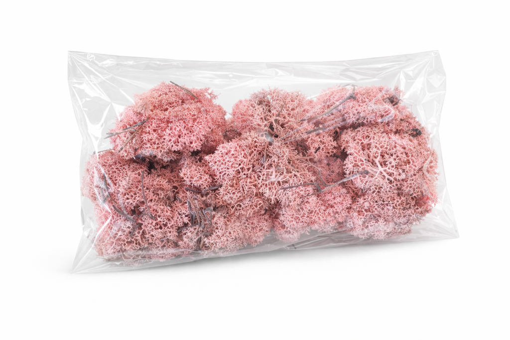 ChatGPT Image 2026. febr. 9. 10_43_52.png