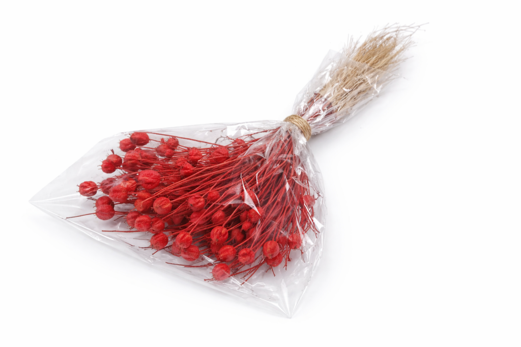 ChatGPT Image 2026. febr. 13. 13_46_49.png