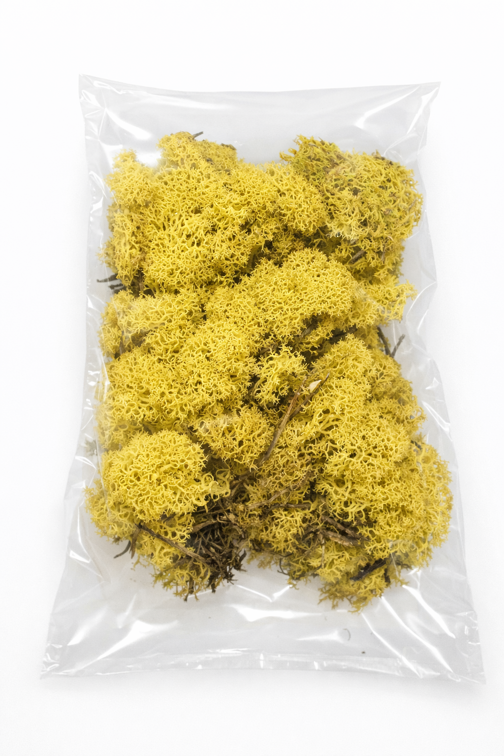 ChatGPT Image 2026. febr. 11. 12_20_42.png