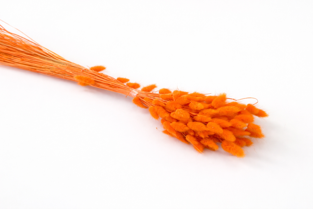 ChatGPT Image 2026. febr. 24. 10_51_26.png