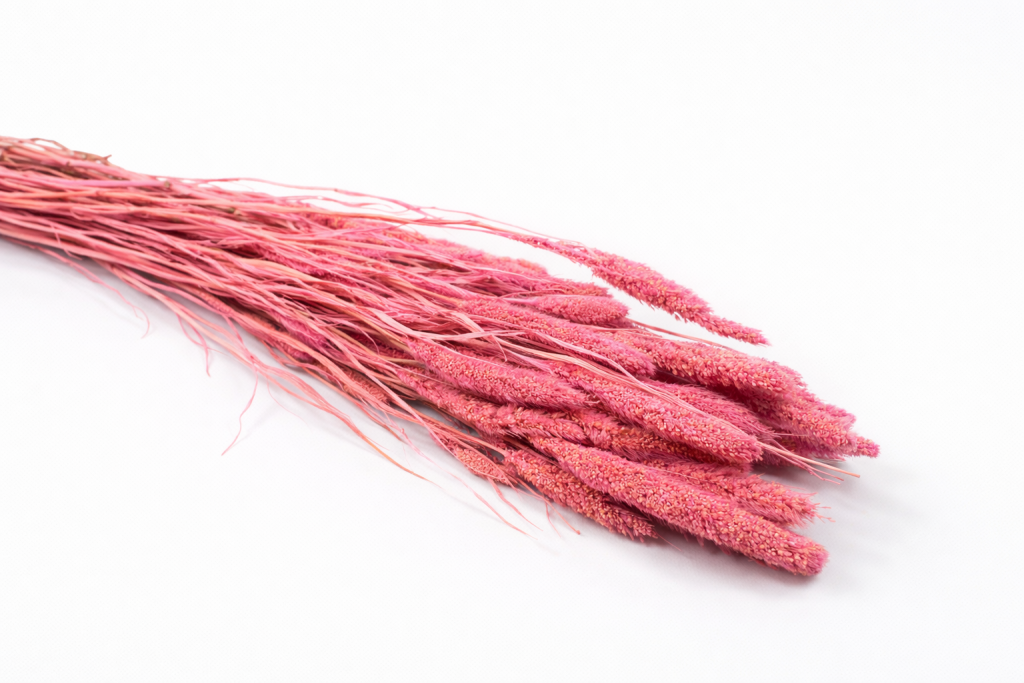 ChatGPT Image 2026. febr. 24. 11_09_27.png