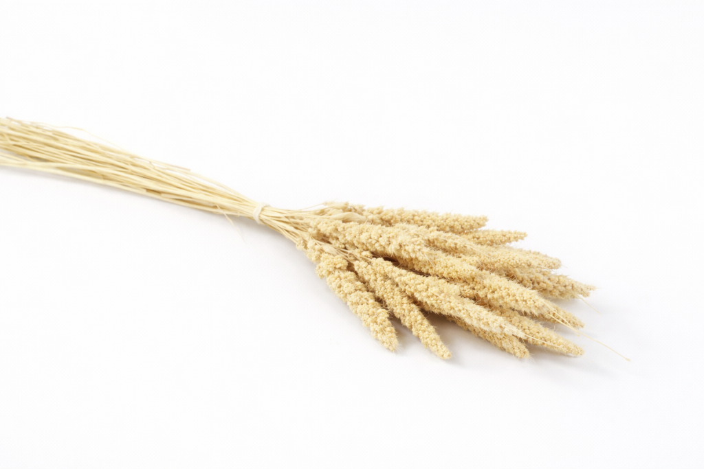 ChatGPT Image 2026. febr. 24. 11_01_16.png