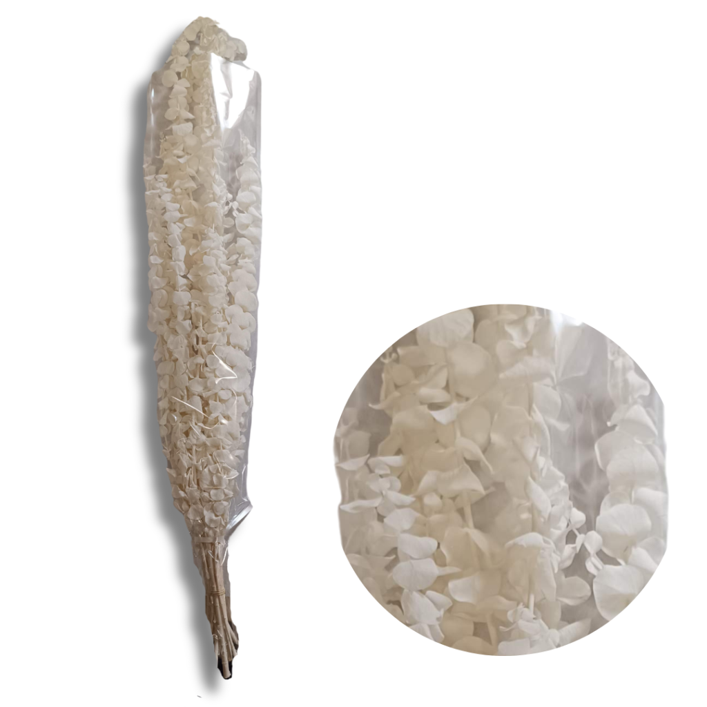 Névtelen terv (1).png