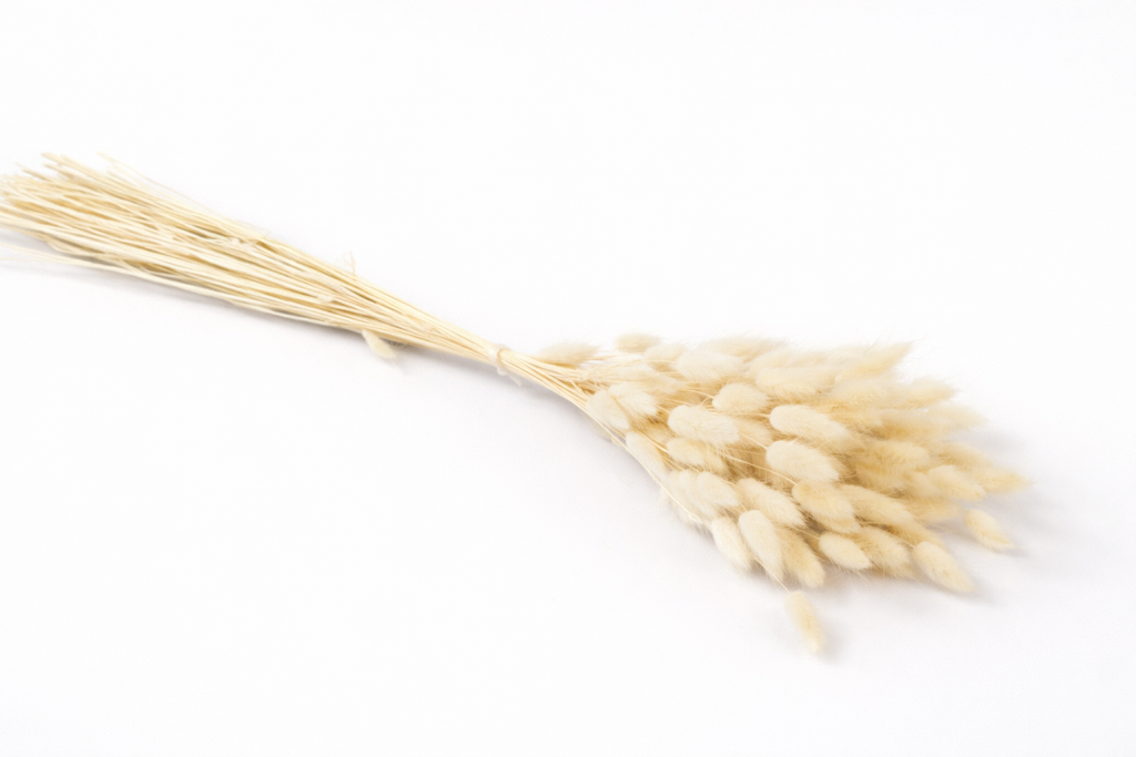 ChatGPT Image 2026. febr. 24. 10_54_34.png