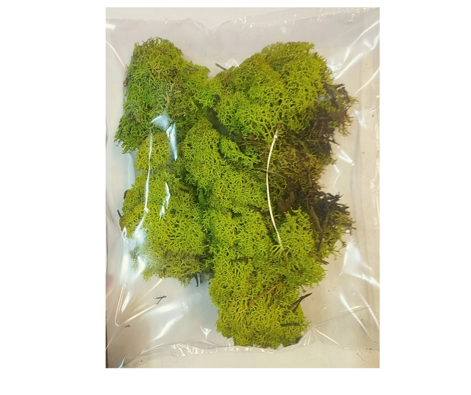 Helyezz el némi törzsszöveget (26).png