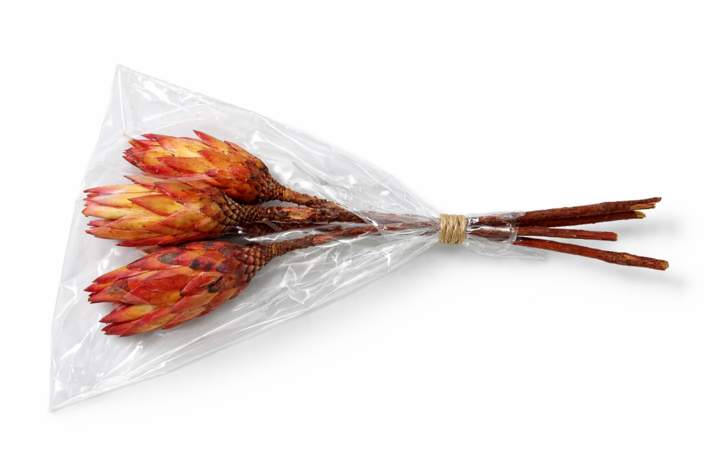 ChatGPT Image 2026. febr. 13. 06_56_13.png