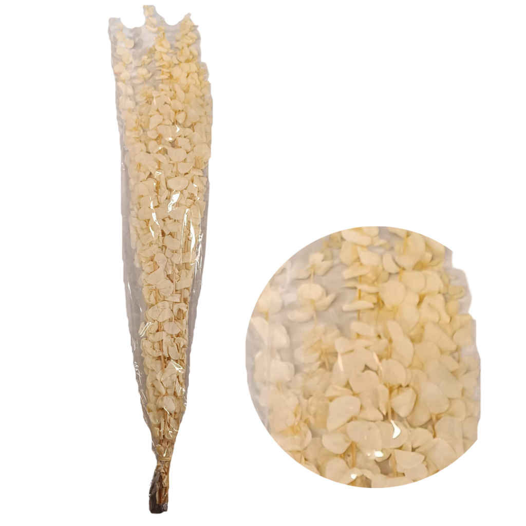 Névtelen terv (2).png