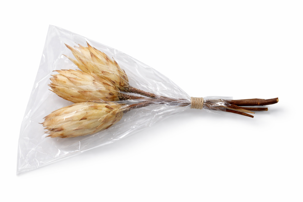 ChatGPT Image 2026. febr. 13. 07_46_21.png